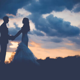 Slider1 1 263x263